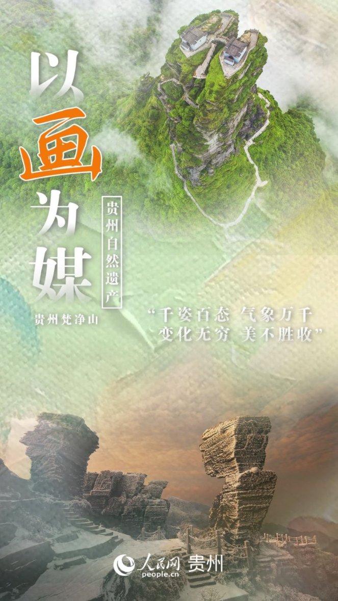 狗狗物品记忆卡
