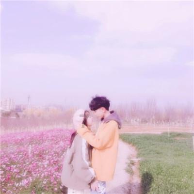 组装机械机甲暴龙2
