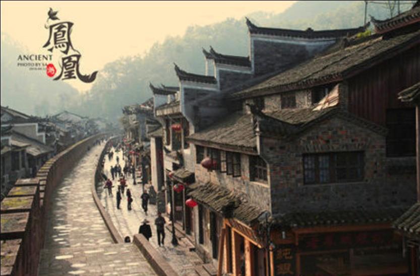 果果大作战